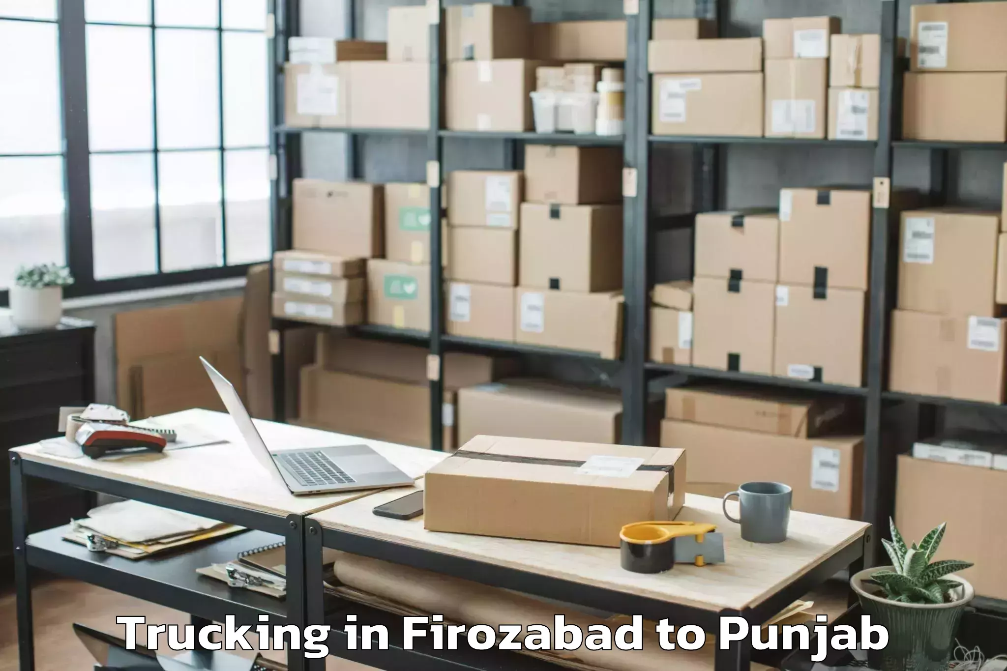 Reliable Firozabad to Adampur Jalandhar Trucking